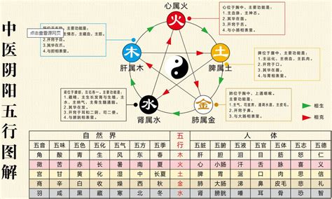 醫療 五行 屬性|中醫五行:基本概念,五行屬性及歸類,五行屬性歸類,五行。